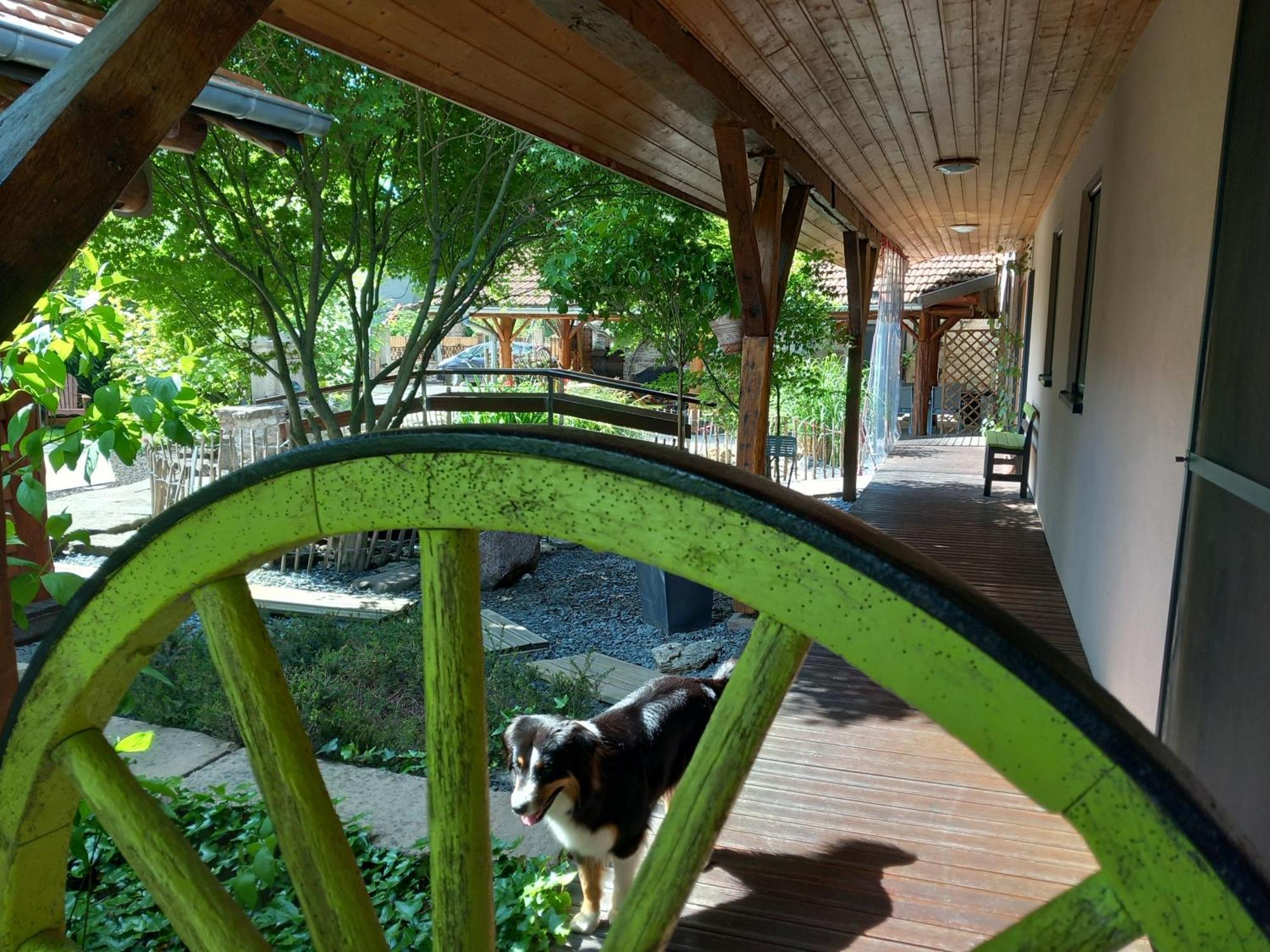 Hagebuche Bed & Breakfast Brouviller Ngoại thất bức ảnh